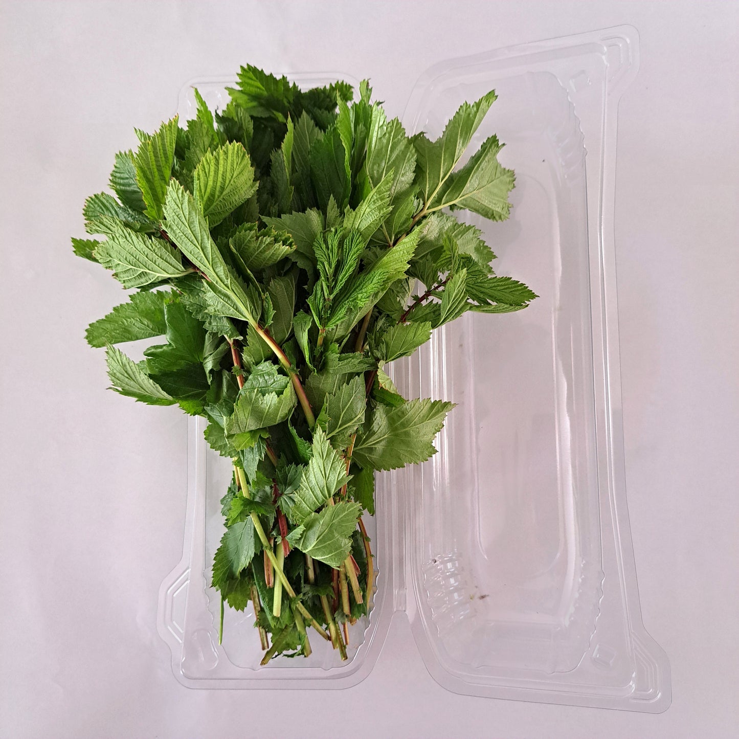 Svartvinbärsblad 50g