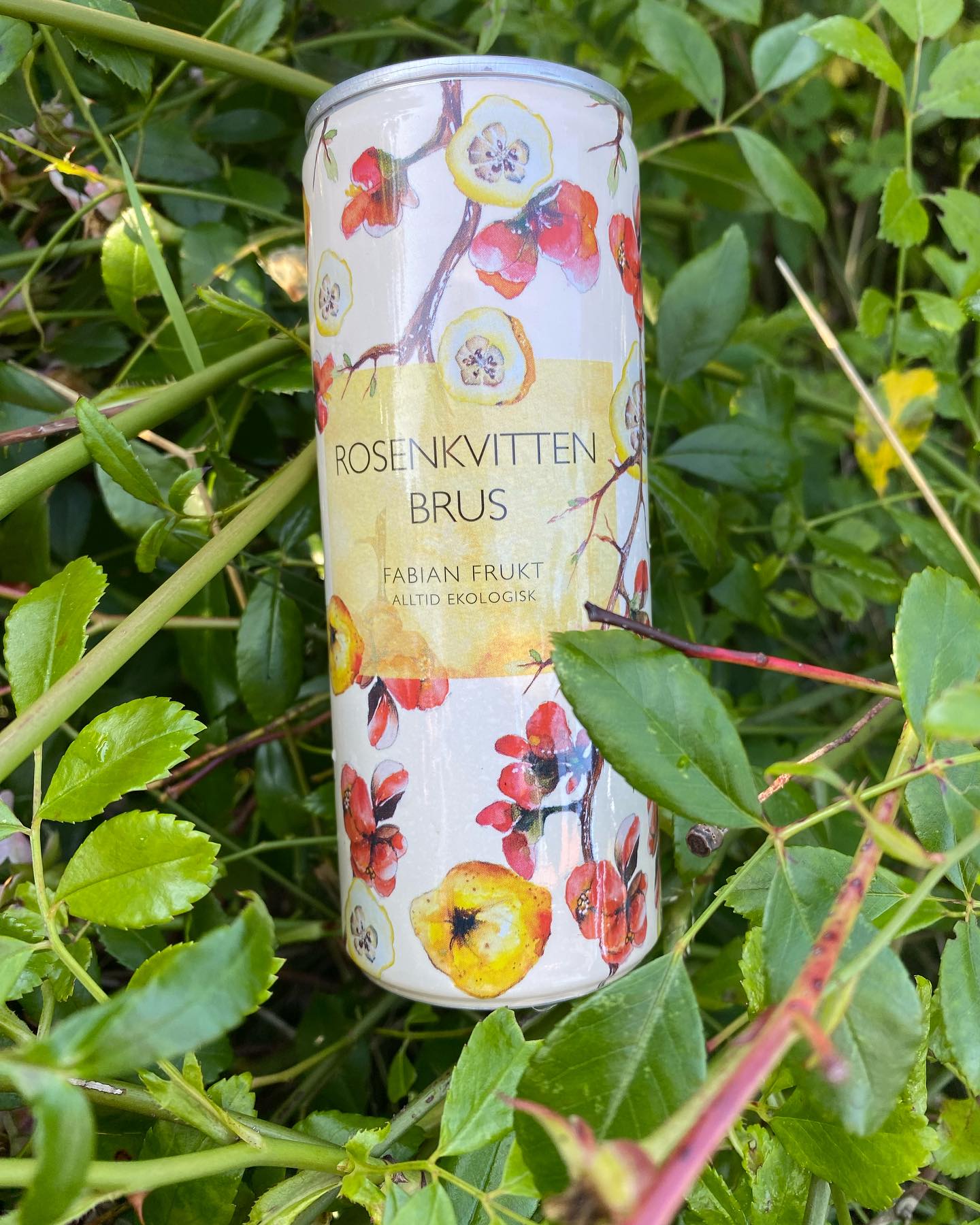Rosenkvitten Brus 25cl