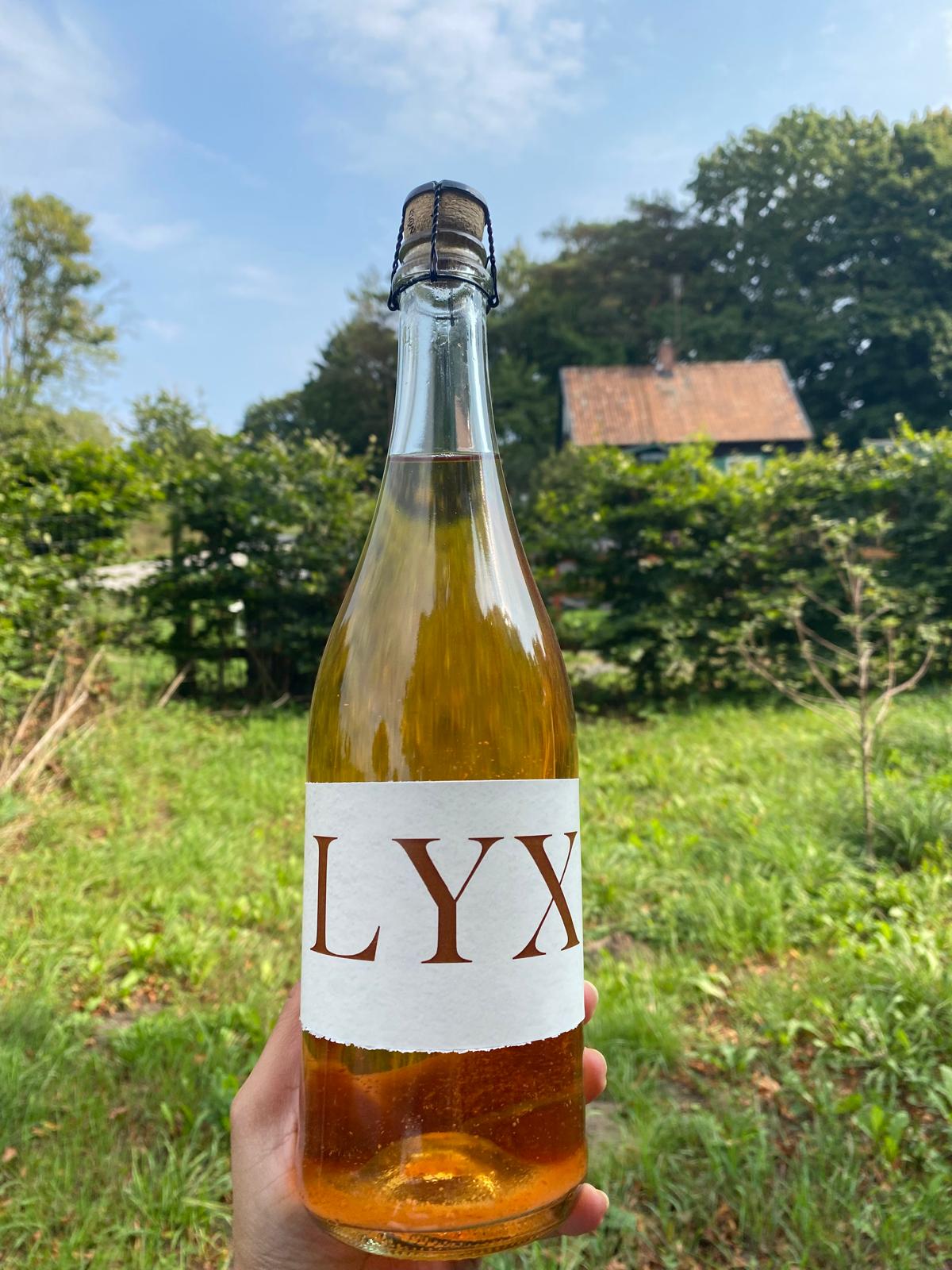 LYX- fermenterad äppelcider 75cl