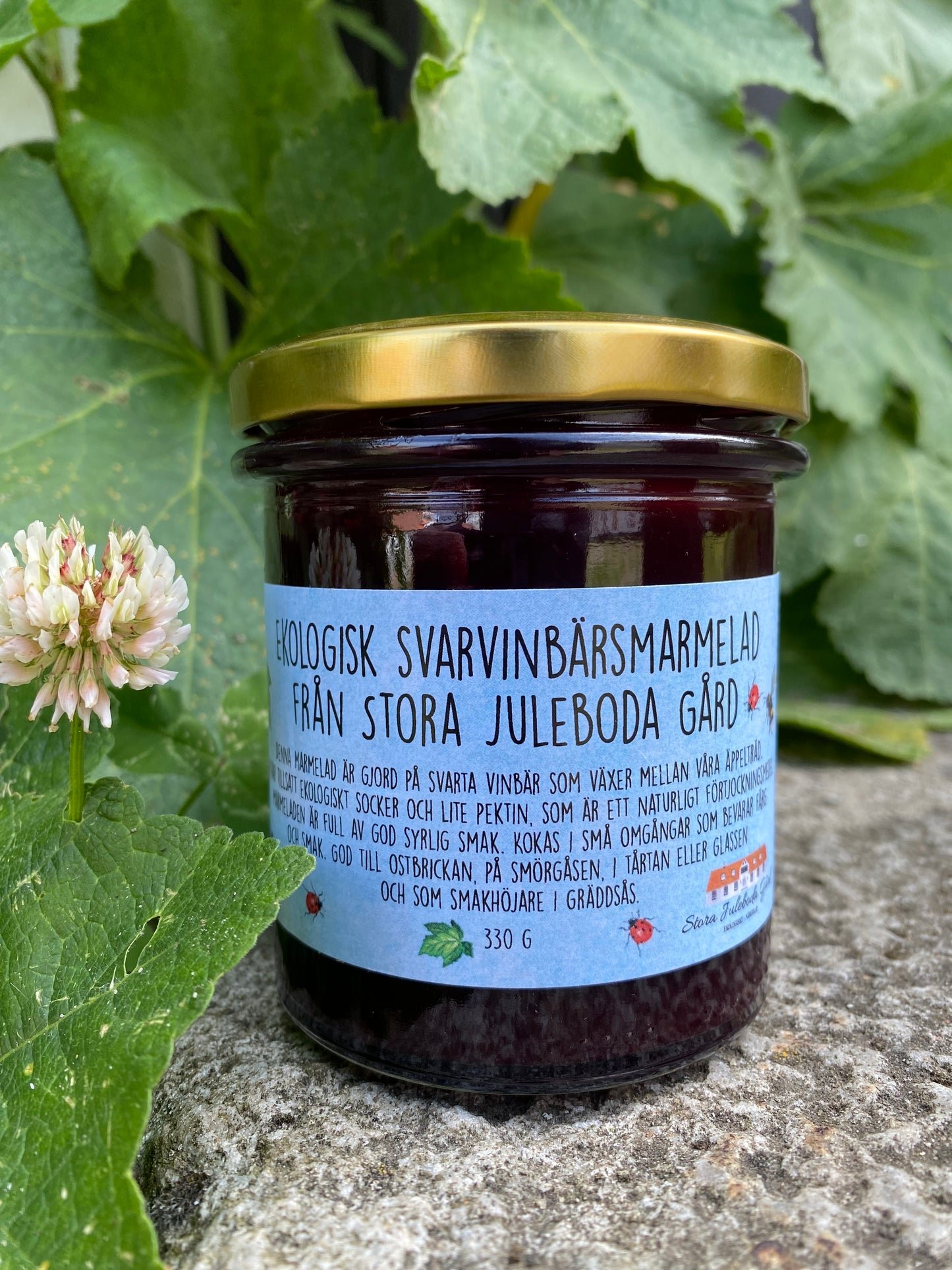 Svartvinbärsmarmelad