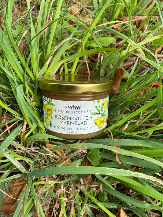 ROSENKVITTEN MARMELAD