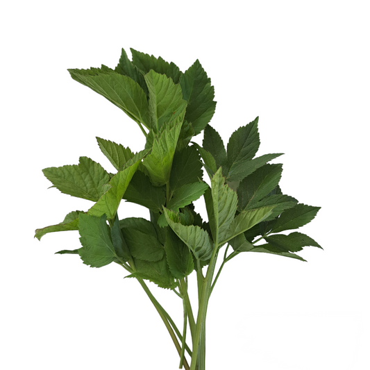 Kirskål 500g