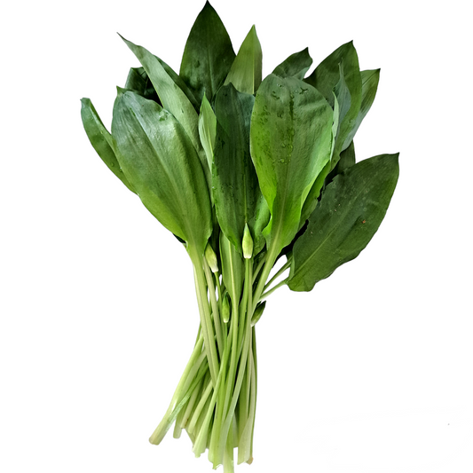 Ramslök