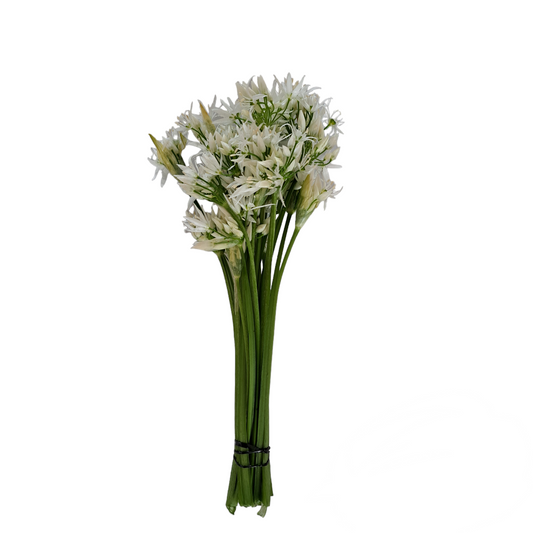 Ramslöksblomma 50g
