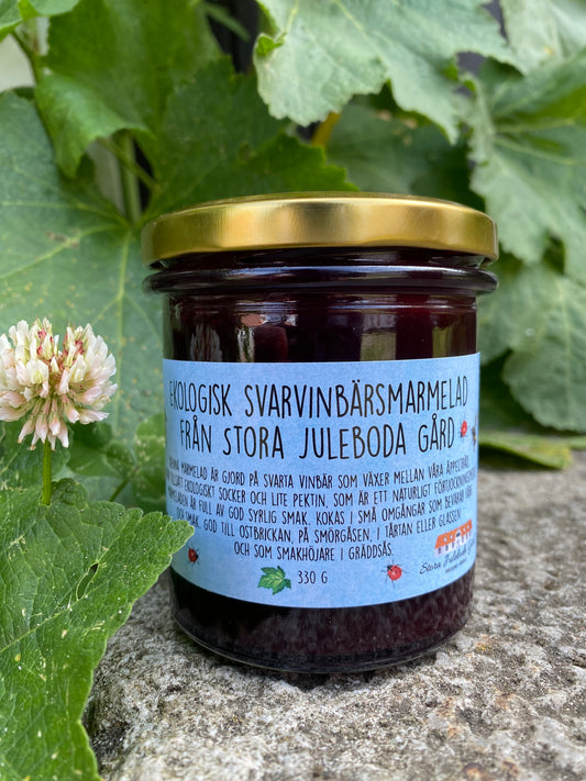 Svartvinbärsmarmelad